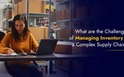 What are the Challenges of Managing Inventory in a Complex Supply Chain?